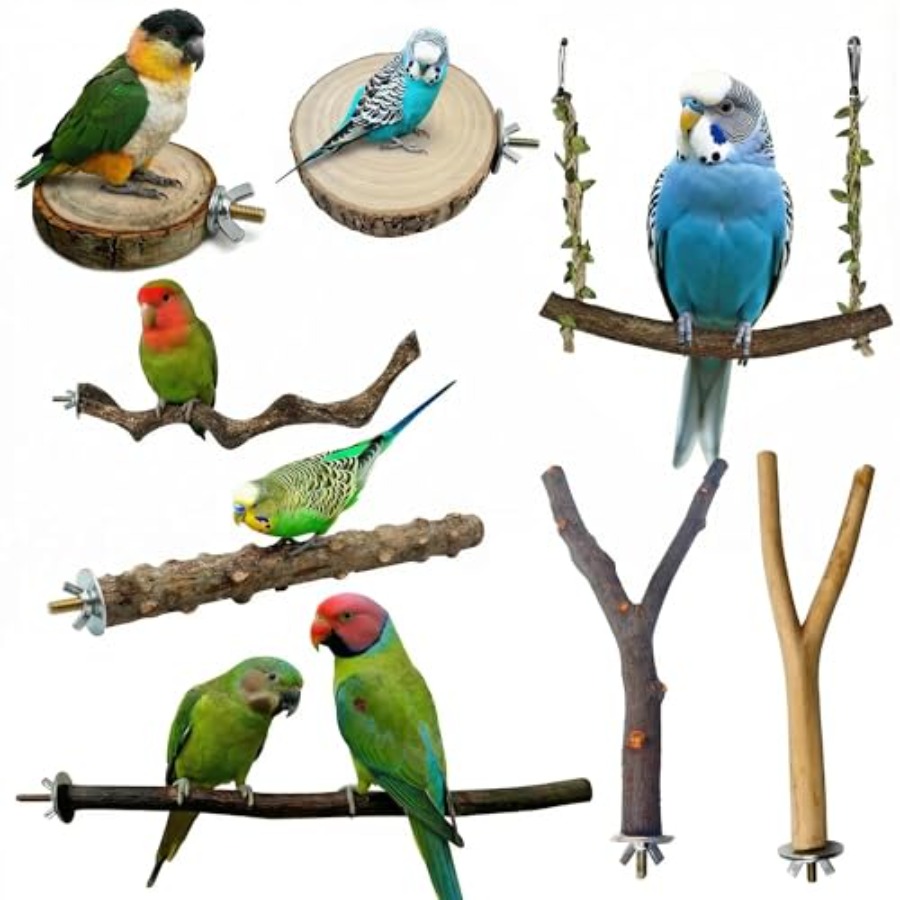 Health & Wellness Animal Hospital - 8PCS natural wood bird perches for