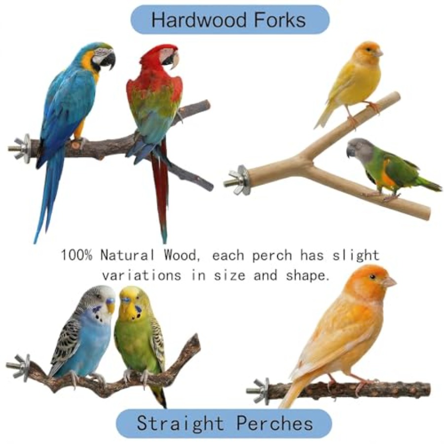 8PCS natural wood bird perches - огляд і ціна Health & Wellness Animal Hospital